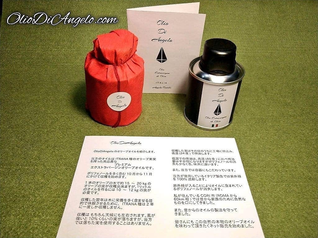 E X C E L S A R ・ 100ml エクセルシアル100ml エクストラヴァージンオリーブオイル 本物のオリーブオイル